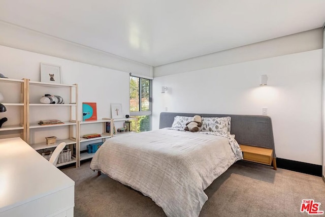 bedroom with carpet floors