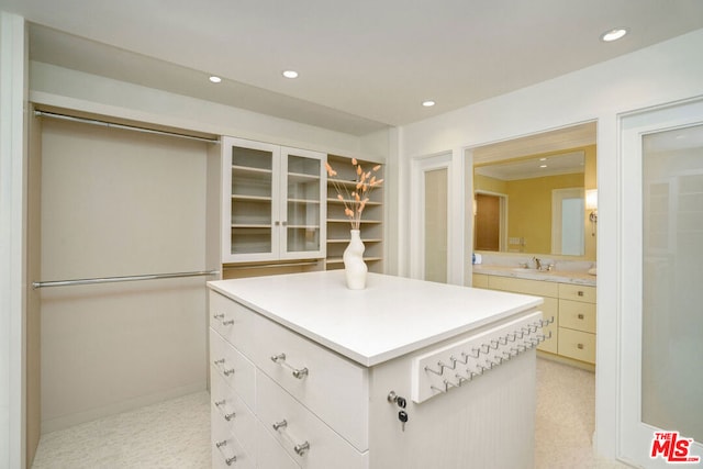 spacious closet with sink