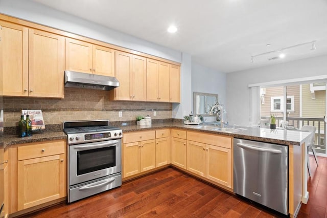 kitchen with sink, tasteful backsplash, dark hardwood / wood-style floors, kitchen peninsula, and stainless steel appliances