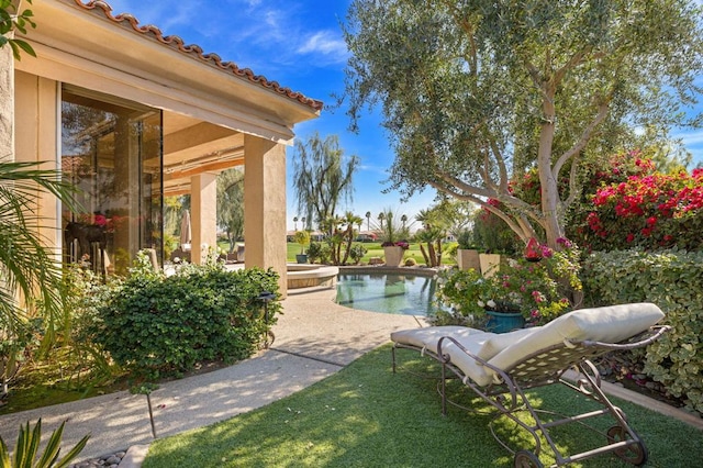 view of yard with a patio