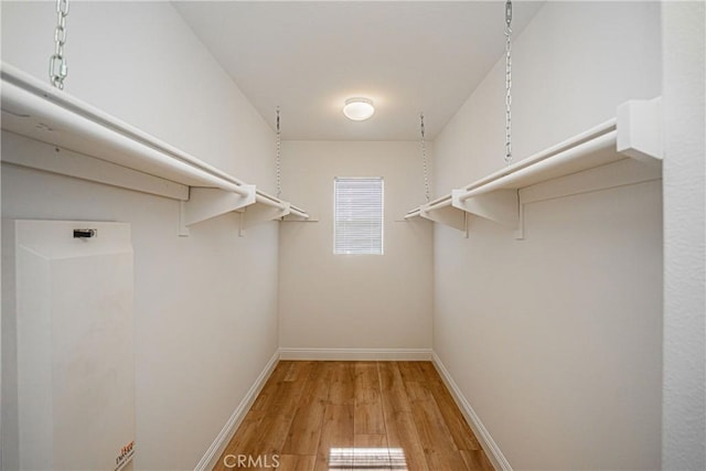 walk in closet featuring light hardwood / wood-style floors