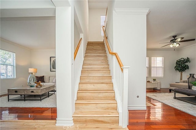 stairs featuring crown molding, a healthy amount of sunlight, hardwood / wood-style floors, and ceiling fan