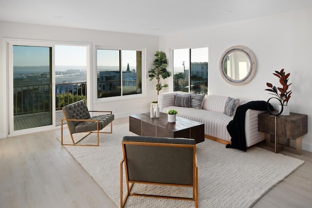 living room featuring light wood-type flooring