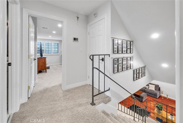 staircase featuring carpet floors