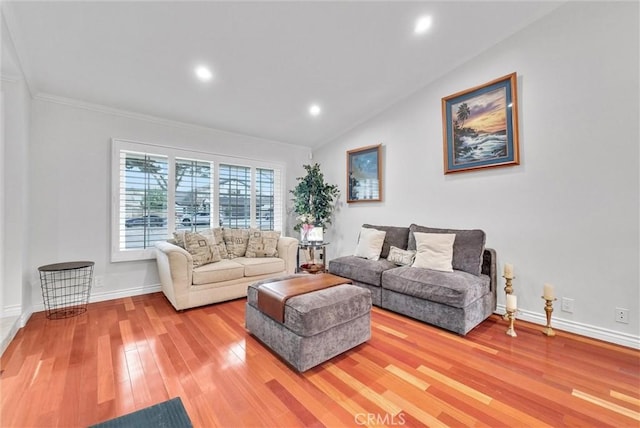 living room with lofted ceiling and wood-type flooring