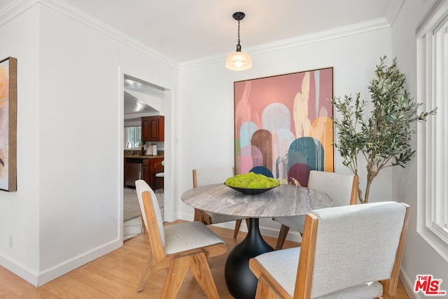 dining room with crown molding and light hardwood / wood-style flooring