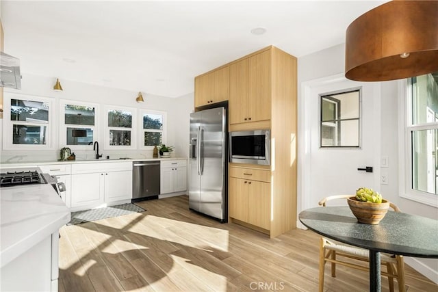 kitchen with light countertops, light wood-type flooring, a sink, and stainless steel appliances