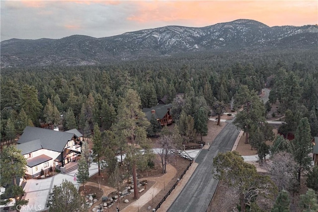 bird's eye view featuring a forest view and a mountain view