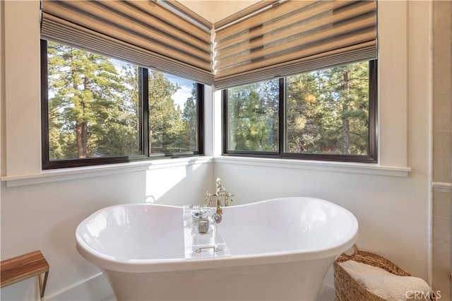 bathroom featuring a freestanding bath