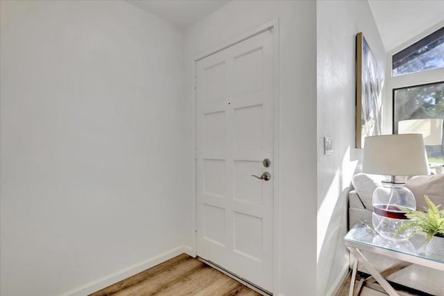 entryway featuring wood-type flooring