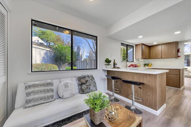 living room featuring light wood-type flooring