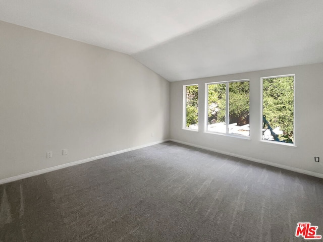 empty room with lofted ceiling and carpet floors