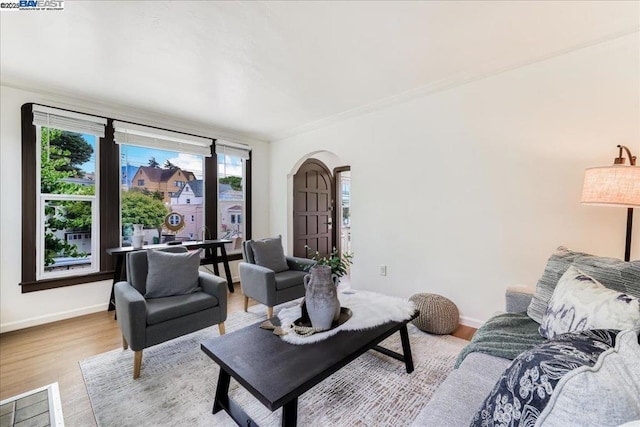 living room featuring light hardwood / wood-style floors