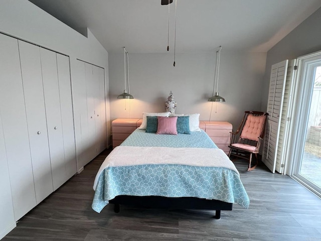 bedroom with lofted ceiling, dark hardwood / wood-style flooring, and two closets