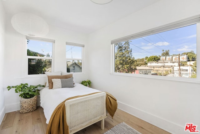 bedroom with hardwood / wood-style flooring