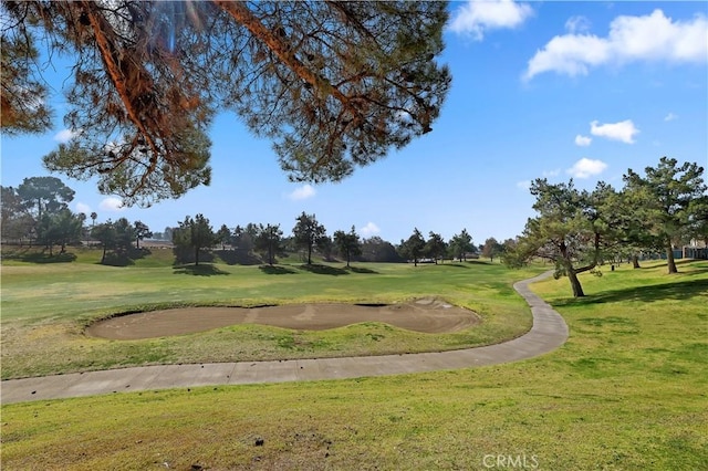 view of property's community featuring a yard