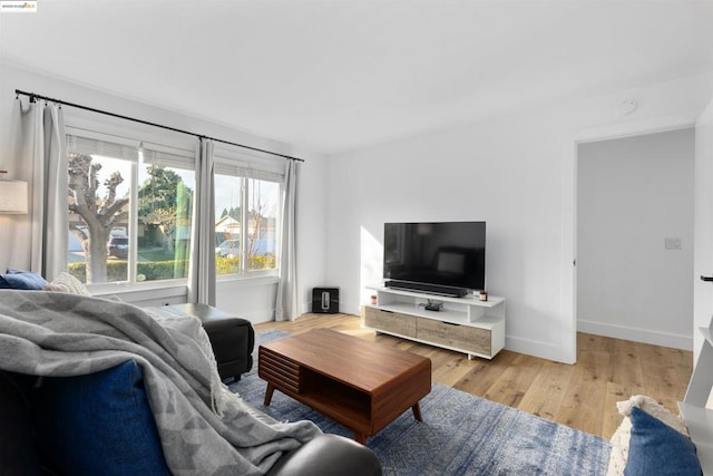 living room featuring light wood-type flooring