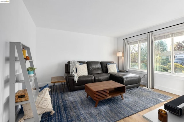 living room with hardwood / wood-style flooring