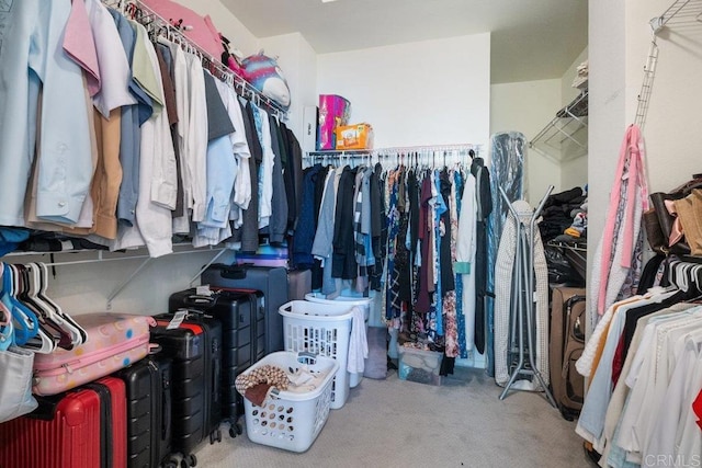 spacious closet featuring light colored carpet