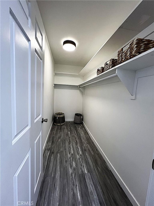 walk in closet featuring dark hardwood / wood-style floors