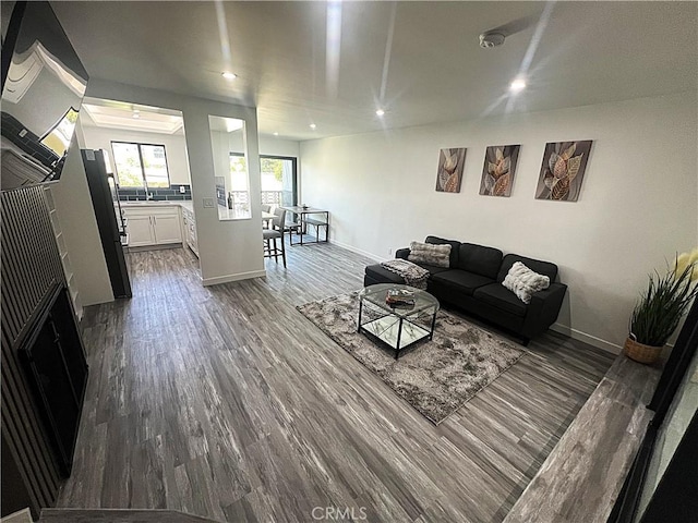 living room featuring hardwood / wood-style flooring