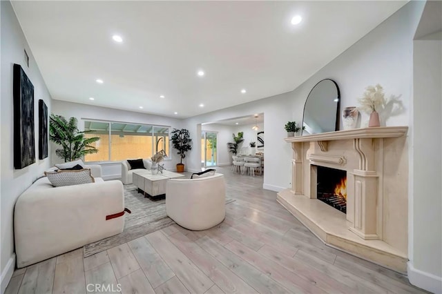 living room with a premium fireplace and light hardwood / wood-style floors