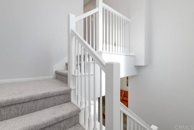 stairs with carpet flooring