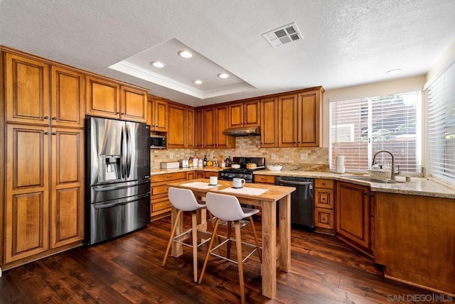 kitchen featuring appliances with stainless steel finishes, dark hardwood / wood-style floors, tasteful backsplash, sink, and a raised ceiling