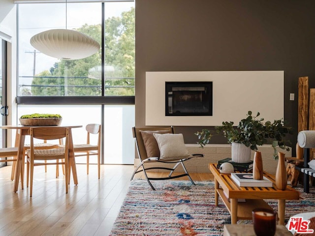 living area featuring light hardwood / wood-style flooring and plenty of natural light