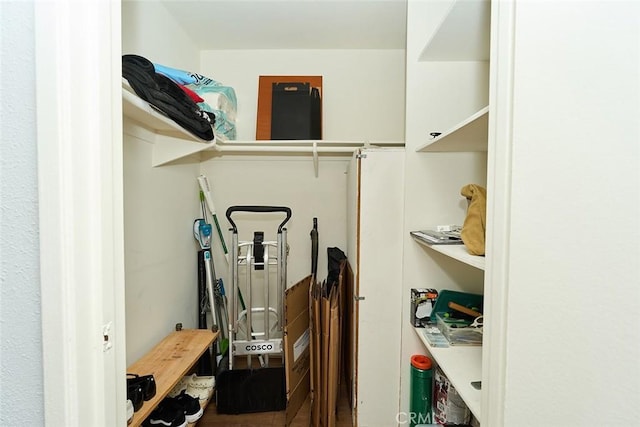 view of spacious closet