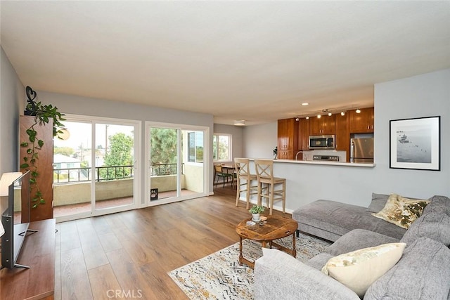 living room with a healthy amount of sunlight, sink, and light hardwood / wood-style flooring