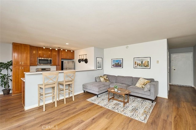 living room with light hardwood / wood-style flooring