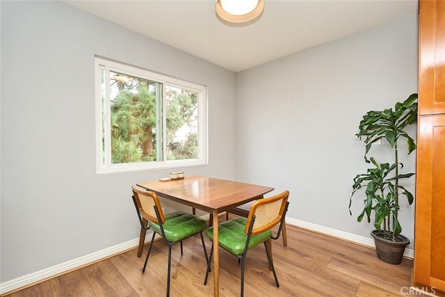 dining area with light hardwood / wood-style floors