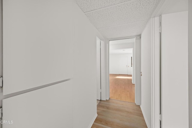 hallway with a drop ceiling and light hardwood / wood-style floors