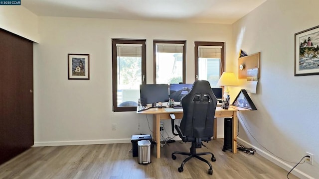 office space featuring plenty of natural light and light wood-type flooring