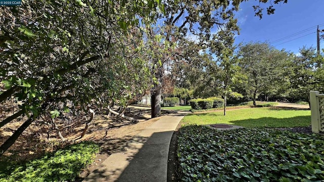 view of home's community with a yard