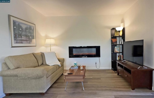 living room with hardwood / wood-style flooring