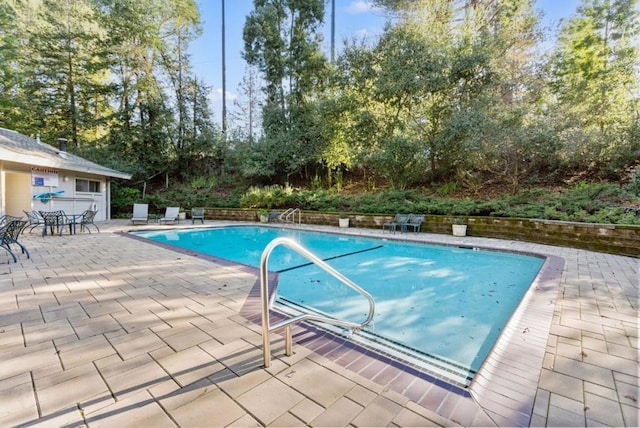 view of swimming pool with a patio area