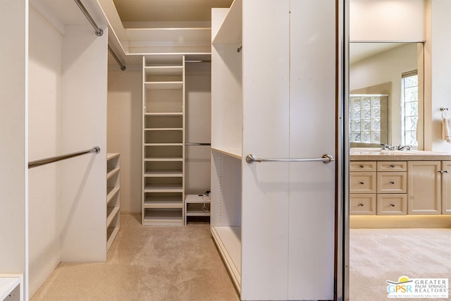 spacious closet featuring light colored carpet