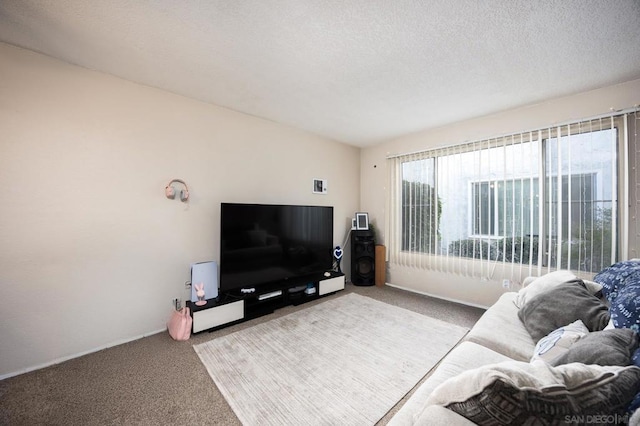 carpeted living room with a textured ceiling