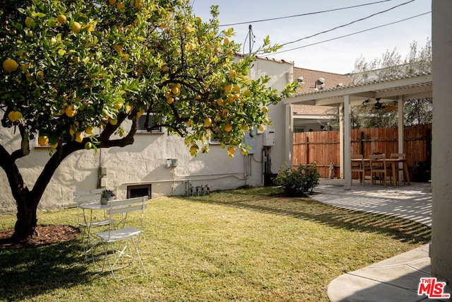 view of yard with a patio area