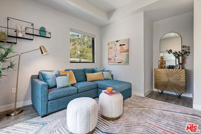 living room with wood-type flooring