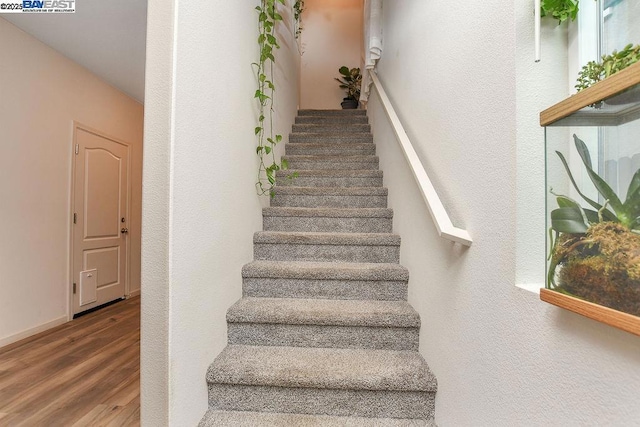 stairs featuring hardwood / wood-style flooring