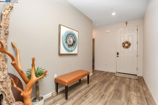 entryway with light hardwood / wood-style floors