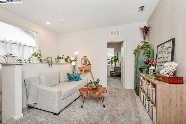 living area featuring carpet flooring