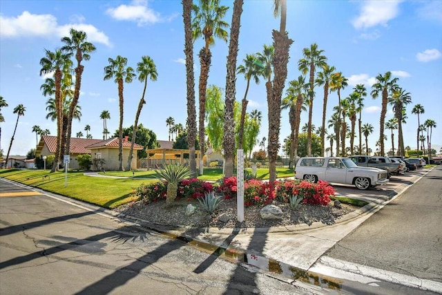 view of home's community featuring a yard