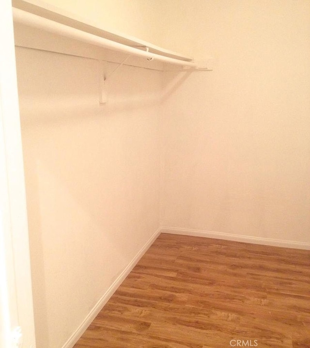 walk in closet with wood-type flooring