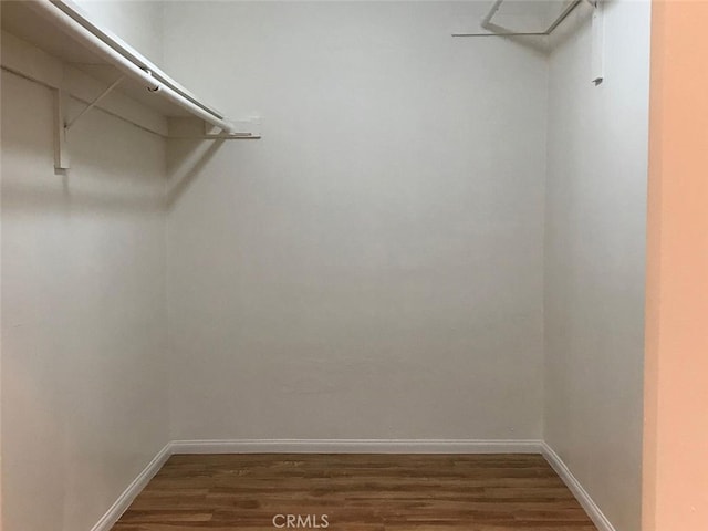 spacious closet with dark wood-type flooring