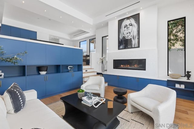 living room featuring light hardwood / wood-style floors and a raised ceiling