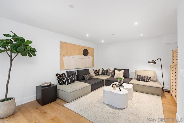 living room with light wood-type flooring